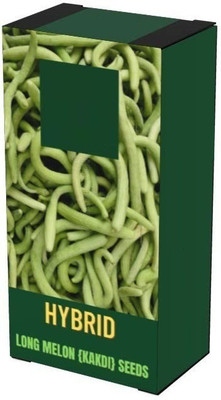 VibeX VVI-55 - GREEN LONG MELON (KAKRI) - (150 Seeds) Seed(150 per packet)