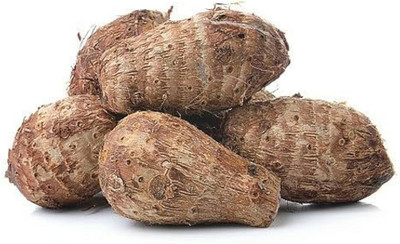 MOONQULTY Taro(Kachu) Root Plant Sedds Pack Of 15 Seed(15 per packet)