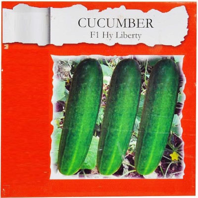 VibeX ® VMR-820 Cucumber F1 Hy Liberty Seed(200 per packet)