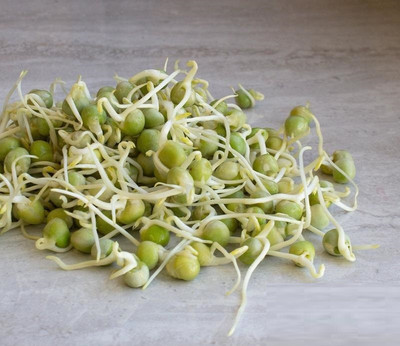 CYBEXIS GREEN PEA800 Seeds Seed(800 per packet)