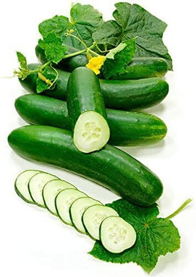 KNESSiN Mini Stars Cucumber Seed(200 per packet)