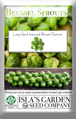 WILLVINE ROX -IV Long Island Improved Brussels Sprout [50g] Seed(15000 per packet)