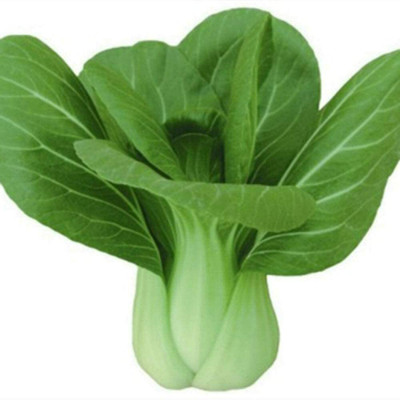 CYBEXIS Bok Choy Chinese Cabbage Seeds2000 Seeds Seed(2000 per packet)