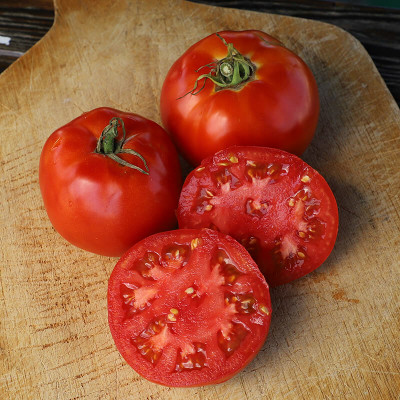 VRAKSHA Tomato Jet Star Seed(2000 per packet)