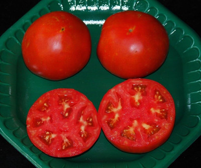 KNESSiN High Yield Celebrity Tomato Vegetable Seeds for Kitchen Gardening - (4000 Seeds) Seed(4000 per packet)