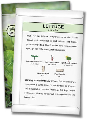 Quentova Jericho Lettuce 2.5gm Seed(2000 per packet)