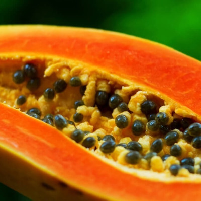 Quentova Red Caribbean Papaya Seed-HQL-10O Seed(30 per packet)