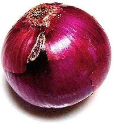 Qualtivate RES-1A Onion Seeds, Vernina - Deep violet-red onion Seed(500 per packet)