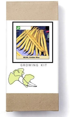 Biosnyg Golden Wax Bean Seed(50 per packet)