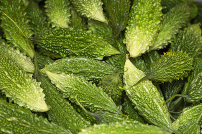 AFARTIOBINA 46 Pc Bitter Gourd/Karela/Bitter Melon Gardebnibg Vegetable Seed(46 per packet)