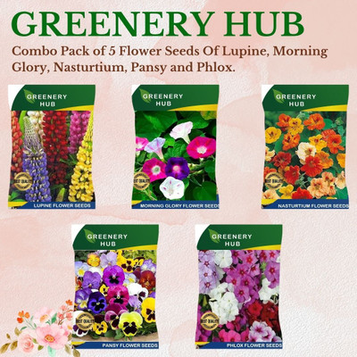 Greenery Hub Home Garden Seed Collection – 5 Variety Combo Seed(5 per packet)