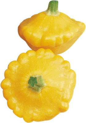 Qualtivate DXL-2AT Sunburst Summer Squash Seeds Seed(30 per packet)