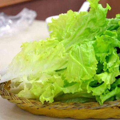 CYBEXIS Seeds for Home - Lettuce Seeds2000 Seeds Seed(2000 per packet)