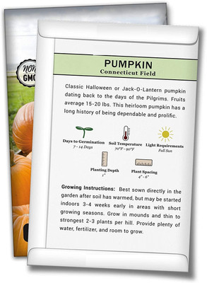 Qualtivate PUAS-5A Connecticut Field Pumpkin Seed(50 per packet)