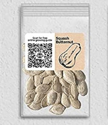 Biosnyg QIQ-85 Butternut Squash-[400 Seeds] Seed(400 per packet)