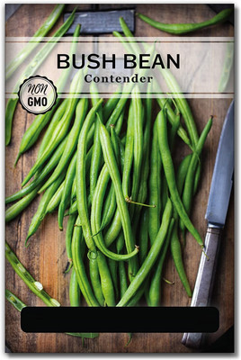 WILLVINE ® Contender Green Bean Seeds Seed(500 per packet)