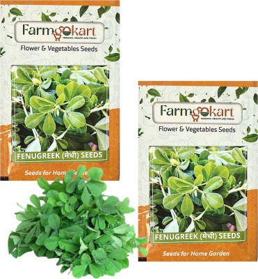 farmgokart |2 Packets of METHI /FENUGREEK SEEDS|Quality Vegetable Seed Pouch|Home Gardening Seed(250 per packet)