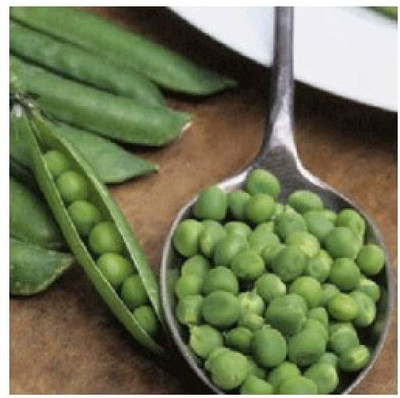 CYBEXIS Pea Seeds Provencal Petit Pois800 Seeds Seed(800 per packet)