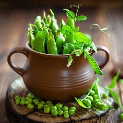 KNESSiN Pea Green Pods Seed(250 per packet)