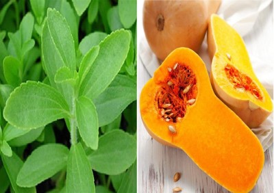 CYBEXIS Stevia Sweet Leaves and Squash Waltham Butternut Seeds Seed(10 g)