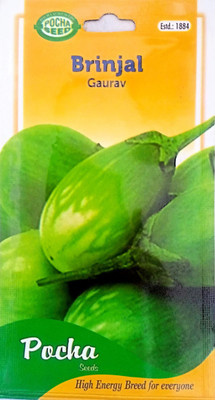 KRASHAK BRINJAL GREEN ROUND SEED Seed(2 per packet)