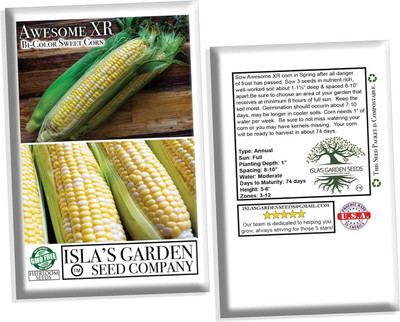 WILLVINE HAR -XVI F1 Hybrid M-9344 Hybrid Corn -[25g] Seed(100 per packet)