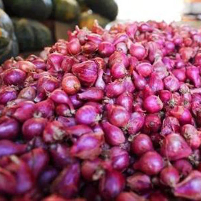CYBEXIS F1 Hybrid Red Onion Seeds1000 Seeds Seed(1000 per packet)