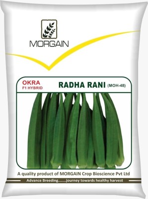 Morgain Vegetable Okra Hybrid Seeds, Radha Rani, (MOH-48), 250gm pkg for Gardening Seed(250 g)