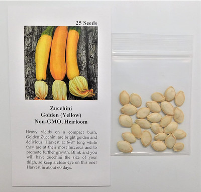 WILLVINE LX-236 Zucchini Golden (Yellow) Seed(100 per packet)