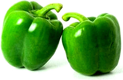 CYBEXIS LXI-73 - Capsicum (Simla Mirch/Pahadi Mirch) - (450 Seeds) Seed(450 per packet)