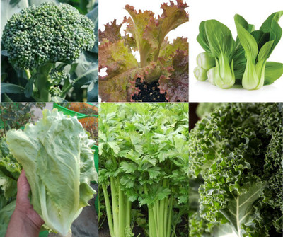 seedbasket Exotic vegetable seeds Seed(6 per packet)