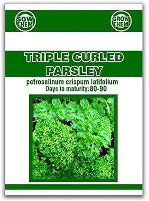 CYBEXIS TLX-7 - Herb Curly-Leaf Parsley Paramount Green - (750 Seeds) Seed(750 per packet)