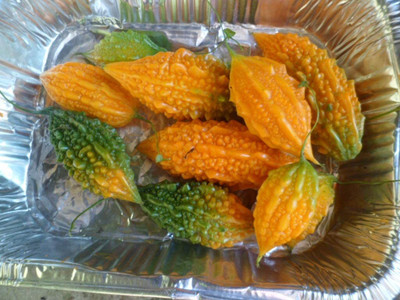 CYBEXIS LX-30 - Bitter Melon Karela Bitter Gourd - (100 Seeds) Seed(100 per packet)