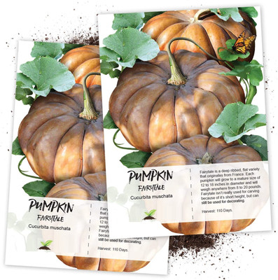 WILLVINE Non-GMO HybridFairytale Pumpkin (Cucurbita moschata)-2500 Seeds Seed(2500 per packet)