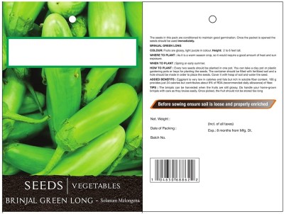 CYBEXIS Brinjal Green Long Hybrid Seeds2400 Seeds Seed(2400 per packet)