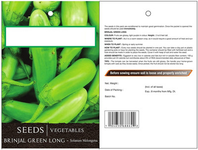 KNESSiN Brinjal Green Long Seed(1250 per packet)