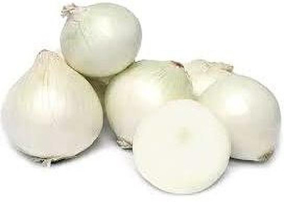 ENINE White Onion Seed(100 per packet)