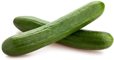 Avysa Burpless Cucumber Seeds-CuC_502 Seed(100 per packet)