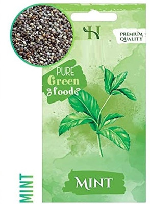 CYBEXIS Heirloom Herb Seeds-Mint2800 Seeds Seed(2800 per packet)