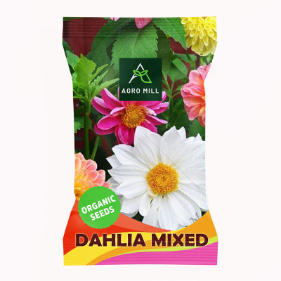 AGRO MILL DAHLIA MULTIFLORA DOUBLE MIXED PREMIUM QUALITY FLOWER Seed(20 per packet)