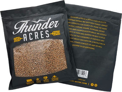CYBEXIS XLL-1 - Hard Red Winter Wheat - (22500 Seeds) Seed(22500 per packet)