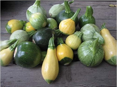 Qualtivate JXL-8AT Zucchini and Squash Mix Seeds Seed(30 per packet)