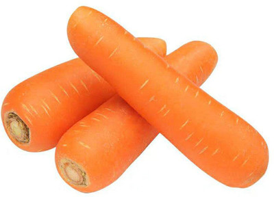 Quentova Gaajar Orange Carrot Vegetable-10K-VXI Seed(200 per packet)