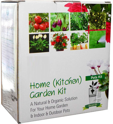VibeX Papaya - Gardening Kit for Home and Garden Seed(37 per packet)