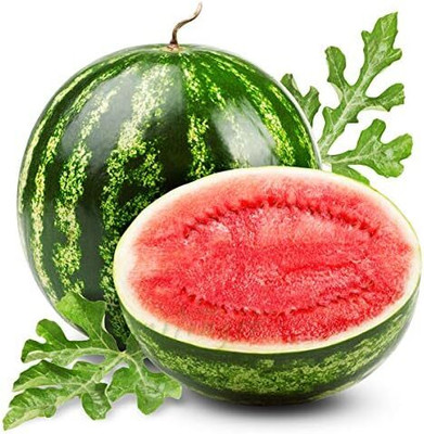 Biosnyg Hybrid Astronaut Green Watermelon Seeds For Kitchen Gardening-(100 Seeds) Seed(100 per packet)