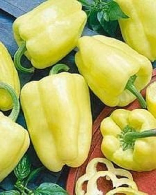 KNESSiN F1 Hybrid White Zinfandel Capsicum Seeds for Terrace Gardening-(50 Seeds) Seed(50 per packet)