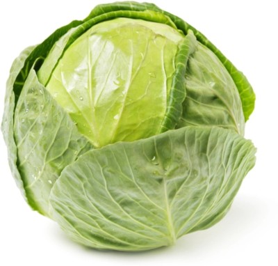 Patta gobi F1 hybrid Cabbage seeds highest yield Verity Seed(10 g)