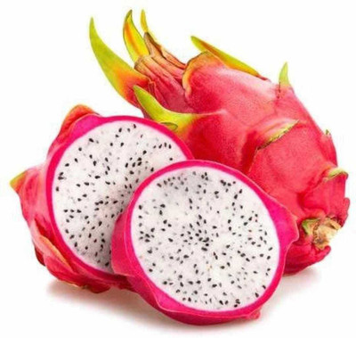 Oliver DRAGON FRUIT SEED Seed(85 per packet)