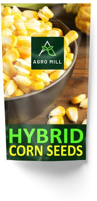 WILLVINE MEH -IX Desi Hybrid Corn (Bhutta) Seed-[250g] Seed(1000 per packet)