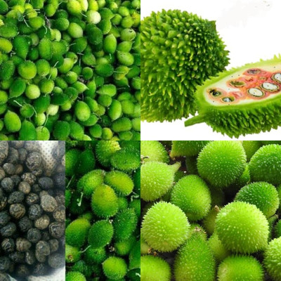 ibains Kankoda seeds biij 7 Seed(7 per packet)